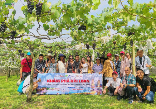 Hình ảnh kỷ niệm đoàn Đài Loan hái trái cây khởi hành ngày 22-5-2019